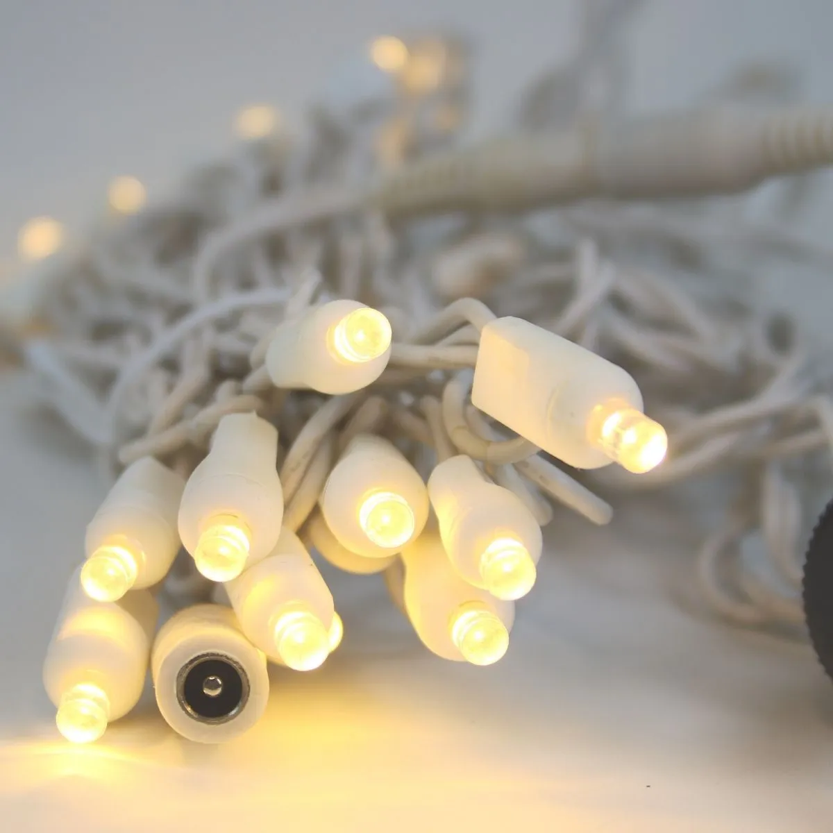 12 Volt LED Light Set Warm White White Wire