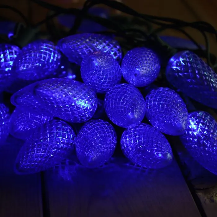 25-light C9 Blue LED Christmas Lights, 8" Spacing Green Wire