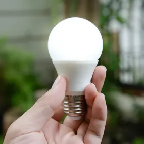 6569 Led Bulb High Power Led Bulb 3w Bulb For Indoor & Outdoor Use