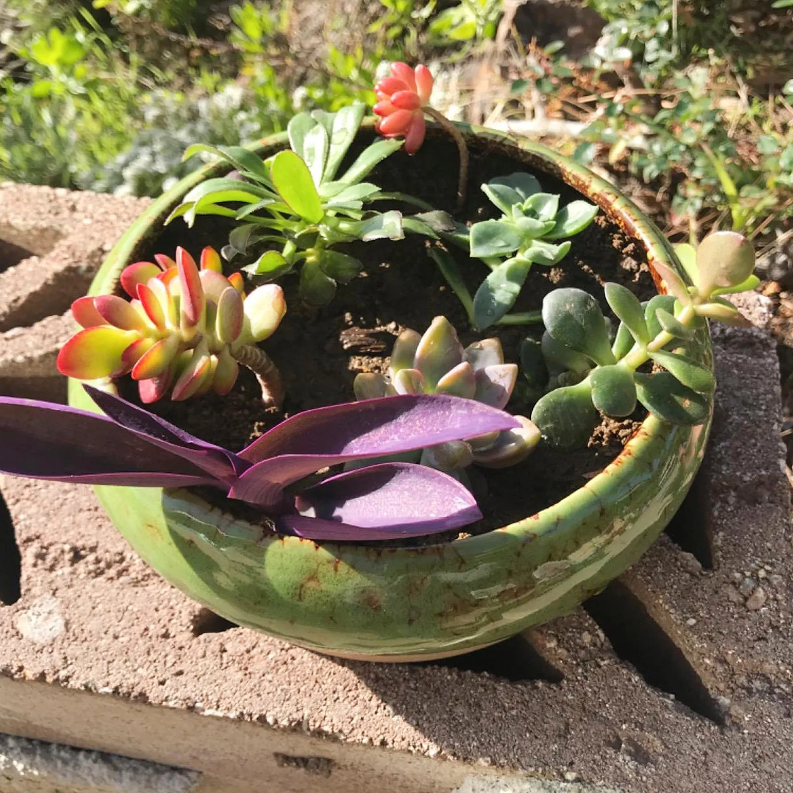 7.3 inch Round Succulent Planter Pots with Drainage Hole Bonsai Pots Garden Decorative Cactus Stand Ceramic Glazed Flower Container Blue, with Bamboo Tray