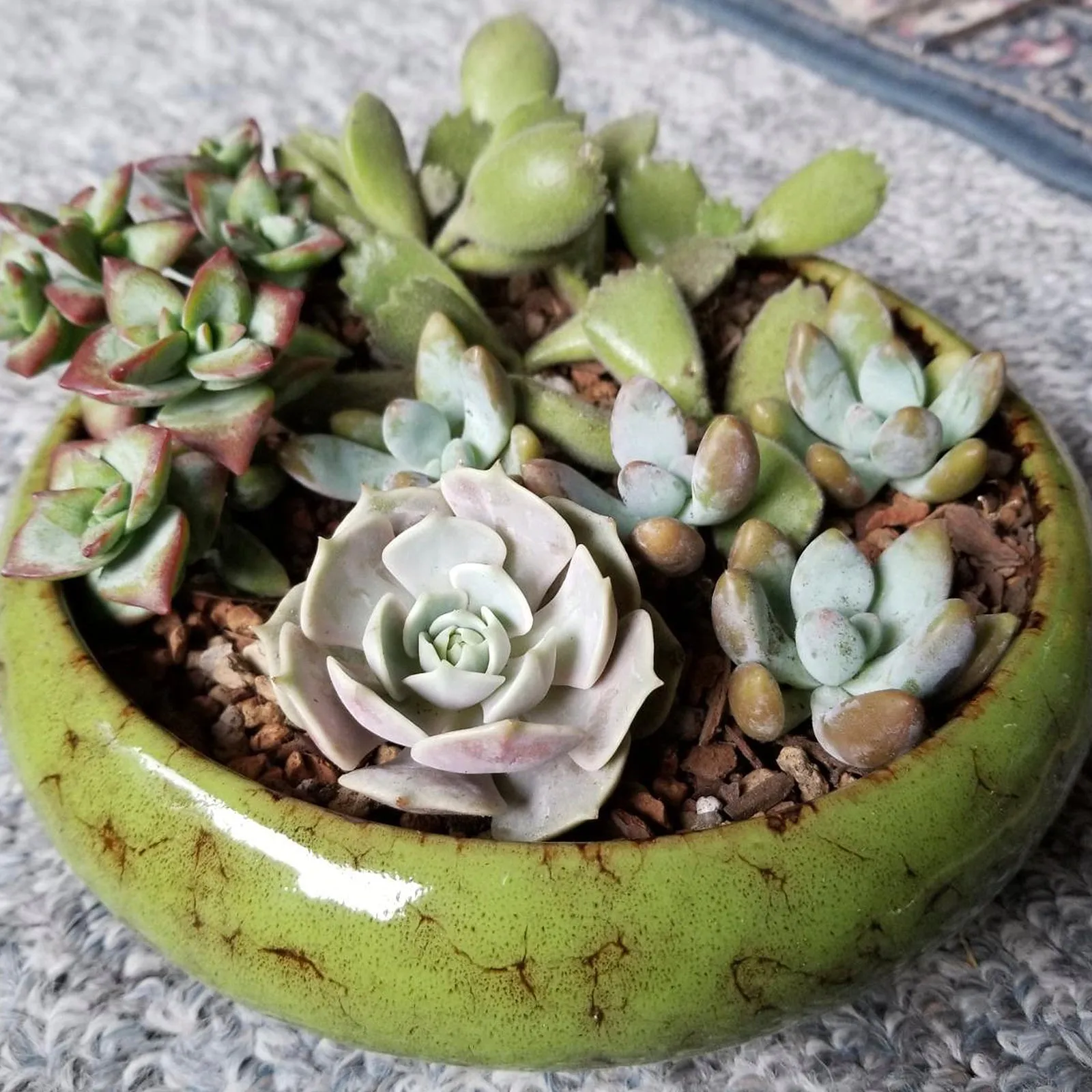 7.3 inch Round Succulent Planter Pots with Drainage Hole Bonsai Pots Garden Decorative Cactus Stand Ceramic Glazed Flower Container Blue, with Bamboo Tray