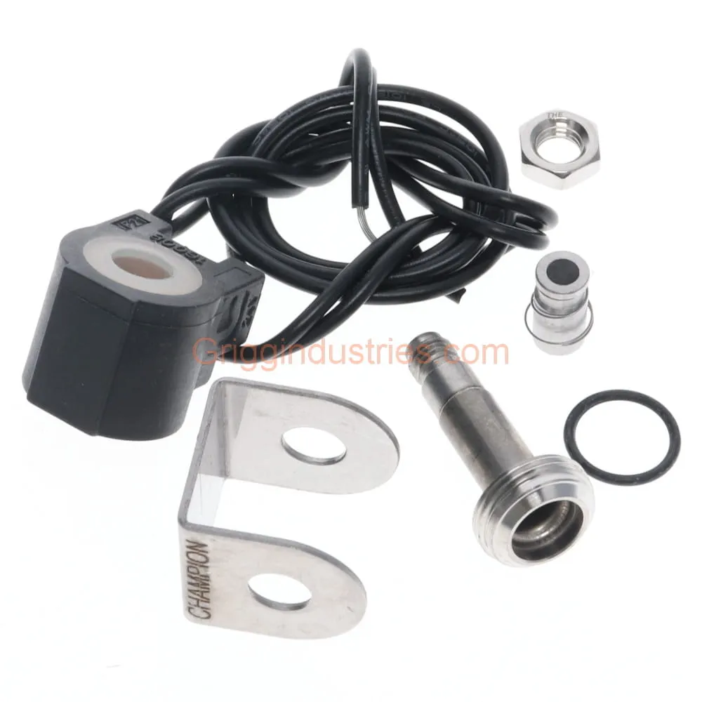 Champion RK-28C Solenoid Plunger and O-Ring Repair Kit