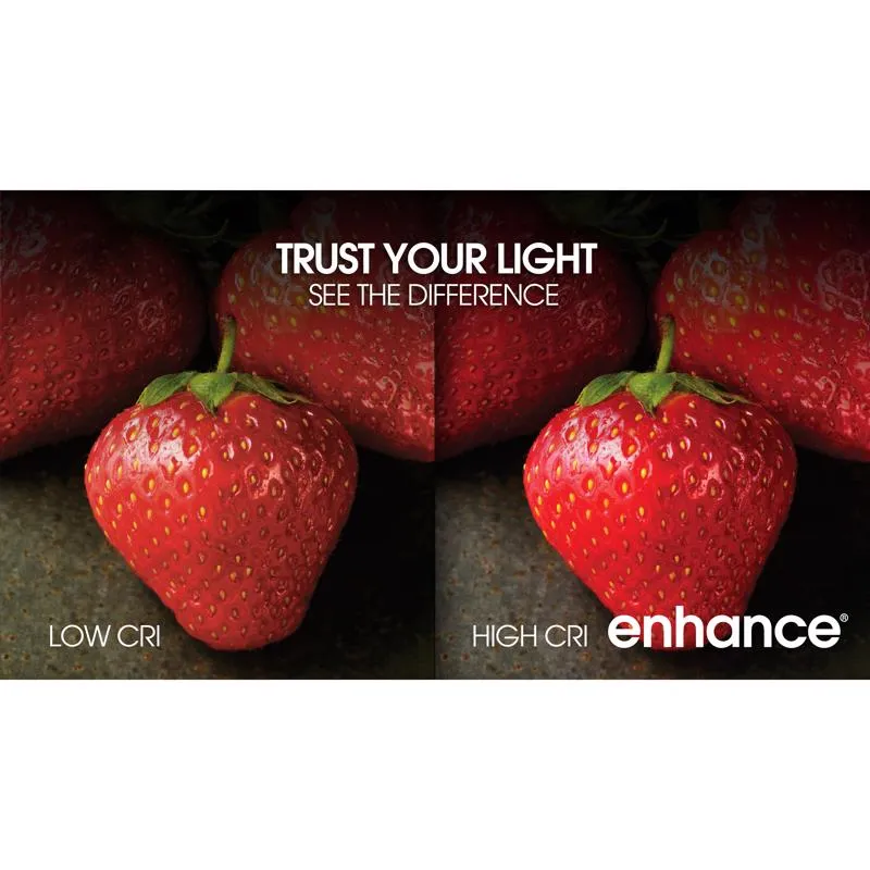 Feit Enhance MR16 GU5.3 LED Bulb Daylight 50 Watt Equivalence 1 pk