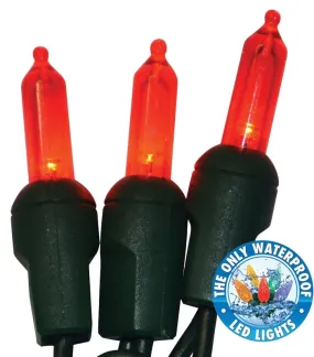 Holiday Bright Lights LEDBX-T550-RD6 Light Set, 50-Lamp, LED Lamp, Red Lamp, 50,000 hr Average Life, 26 ft L :EA: QUANTITY: 1