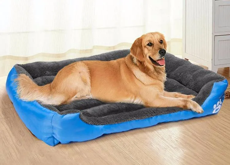 Intracomfort Super Paw Dog Bed