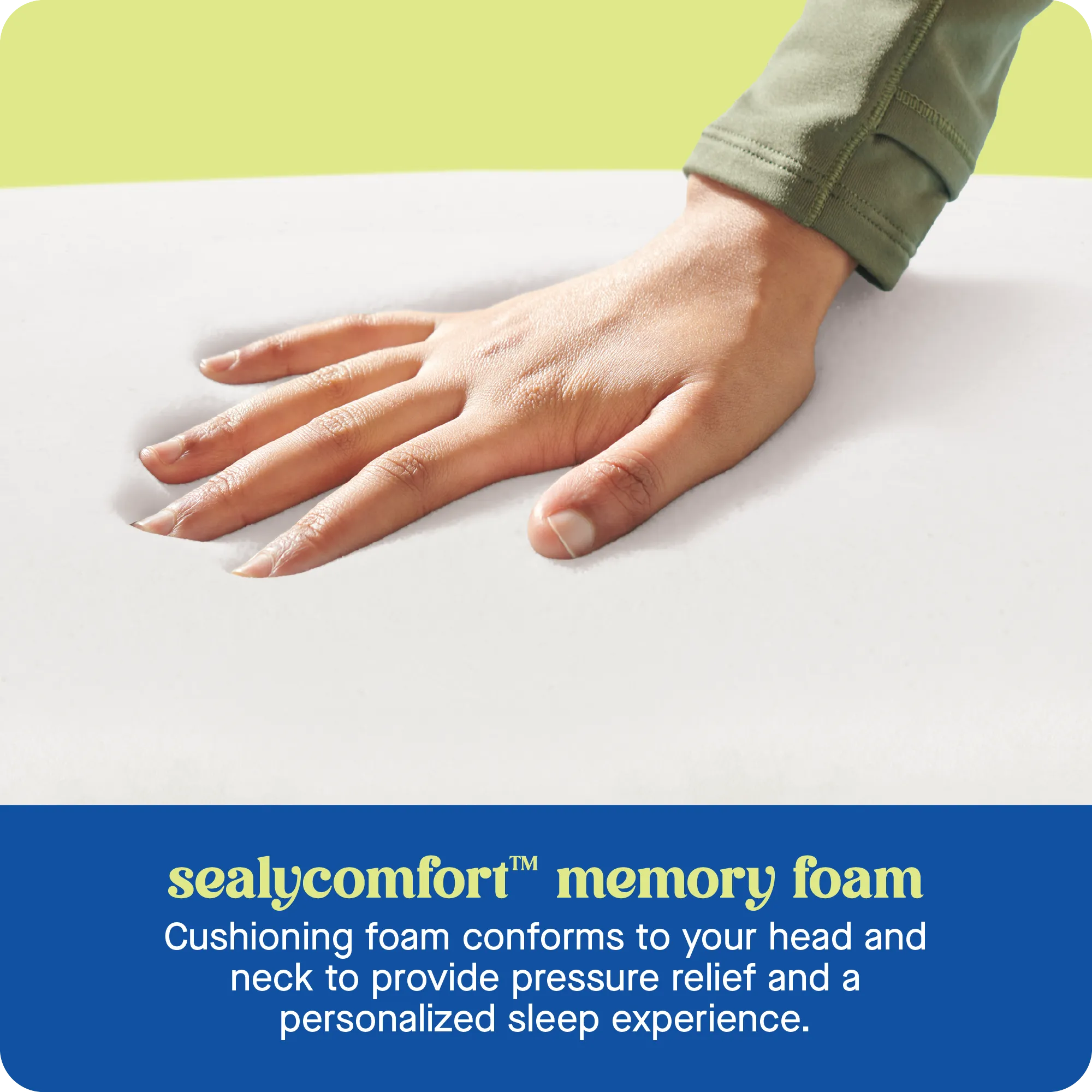 Sealy® Dreamlife™ Memory Foam Pillow - Standard Size